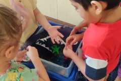 PHOTO-2022-07-22-17-29-44