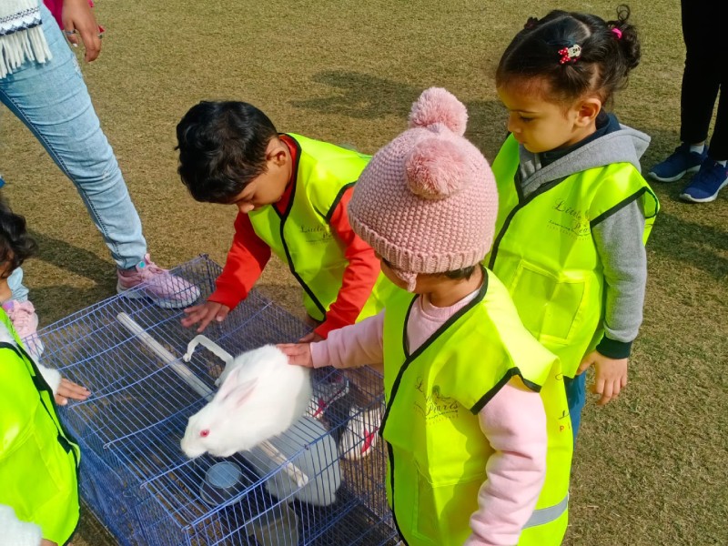 School Field Field Trip